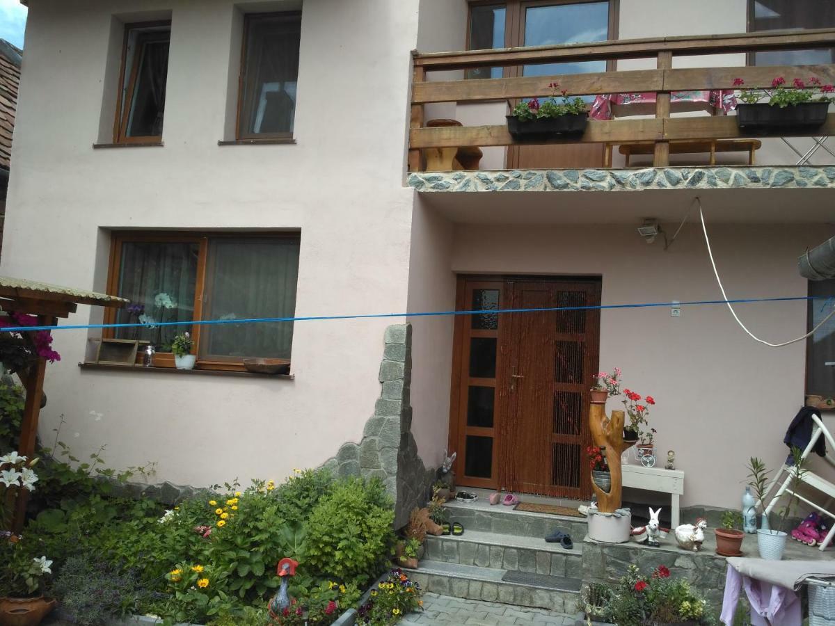 Hotel Casa Teo Ocna Sibiului Zewnętrze zdjęcie